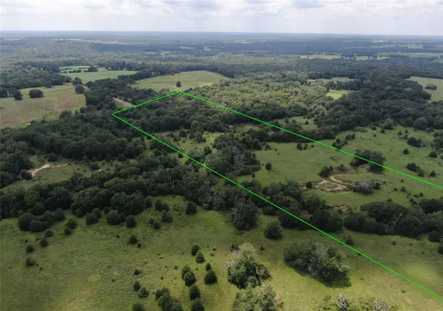 Homes for sale in Buffalo, TX | 1 County Road 411, Buffalo, TX 75831 | MLS# 20679749