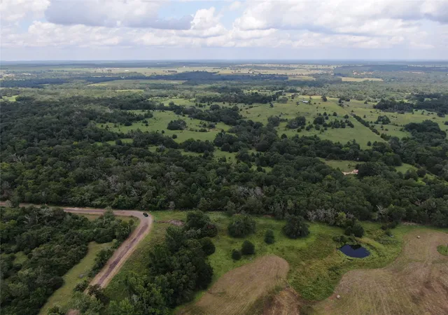 Homes for sale in Buffalo, TX | 1 County Road 411, Buffalo, TX 75831 | MLS# 20679749