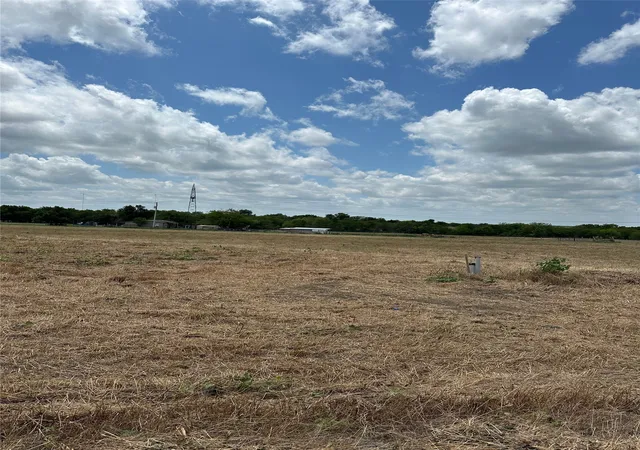 Homes for sale in Greenville, TX | 4019 Rolling Ln, Greenville, TX 75401 | MLS# 20728729