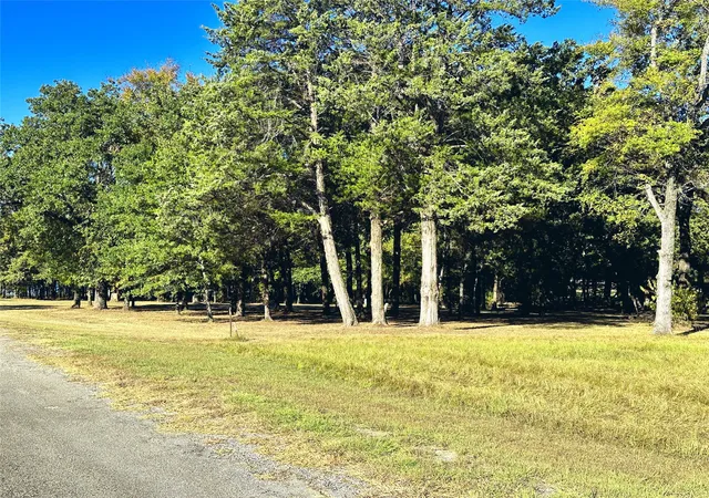 Homes for sale in Kerens, TX | Lot 65 Sombrilla Ln, Kerens, TX 75144 | MLS# 20733751