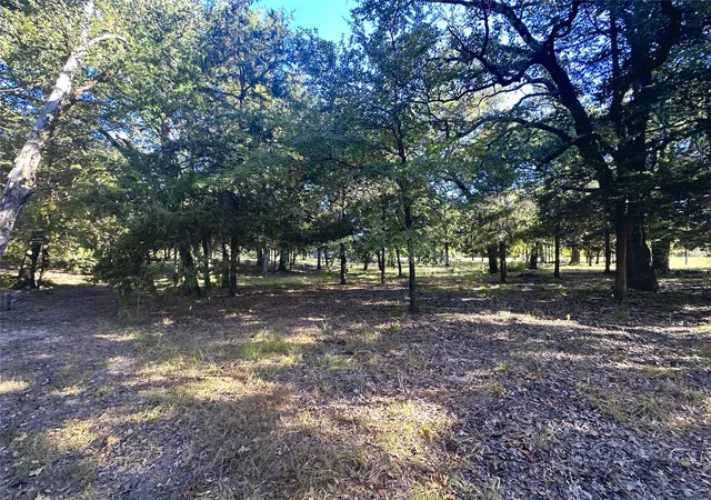 Homes for sale in Kerens, TX | Lot 65 Sombrilla Ln, Kerens, TX 75144 | MLS# 20733751