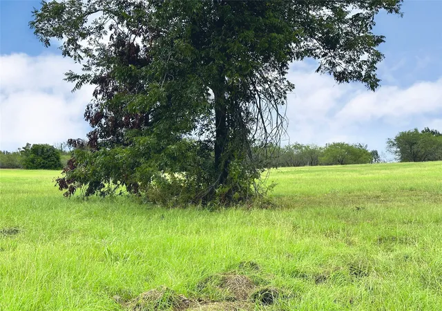 Homes for sale in Streetman, TX | Lot 131 Lake Vista Dr, Streetman, TX 75859 | MLS# 20736162
