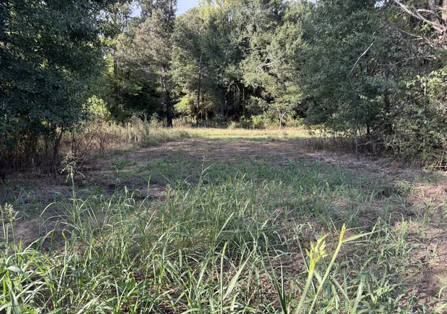 Photo 1 of Land for sale at 000 Cr 2362, Bagwell, TX 75412 | MLS# 20740465 | Listing updated on 2026-08-23