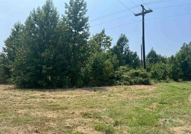 Photo 1 of Land for sale at Tbd Fm 1402, Mount Pleasant, TX | MLS# 20741401 | Listing updated on 2026-08-18