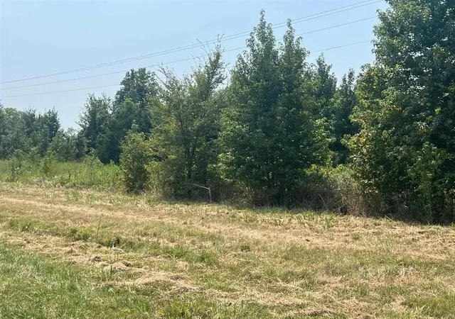 Photo 2 of Land for sale at Tbd Fm 1402, Mount Pleasant, TX | MLS# 20741401 | Listing updated on 2026-08-18