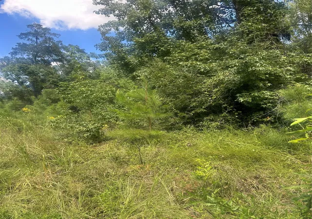 Photo 1 of Land for sale at Lot 11 Dale, Jonesboro, LA 71251 | MLS# 20740748 | Listing updated on 2026-07-17