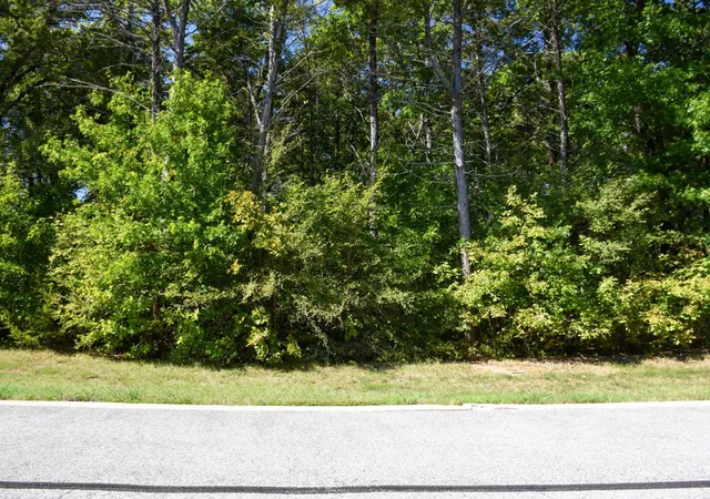 Homes for sale in Gordonville, TX | Tbd Annadale Ln, Gordonville, TX 76245 | MLS# 20743397