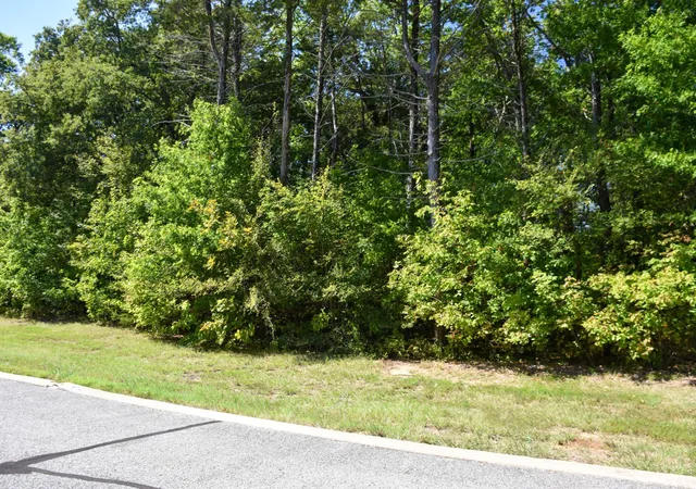 Homes for sale in Gordonville, TX | Tbd Annadale Ln, Gordonville, TX 76245 | MLS# 20743397