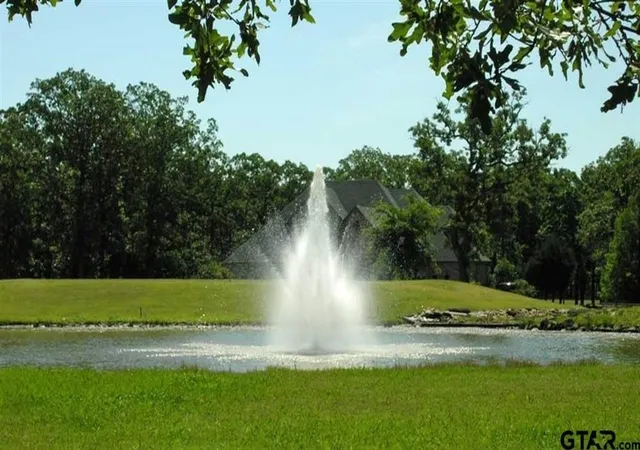 Photo 4 of Land for sale at V-11 Pr 5991, Yantis, TX 75497 | MLS# 20743719 | Listing updated on 2026-09-25