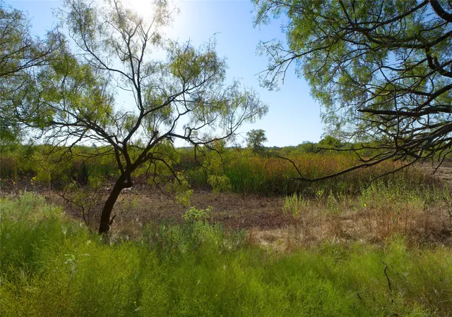 Photo 2 of Land for sale at Tbd Hwy 81, Ringgold, TX 76261 | MLS# 20747254 | Listing updated on 2026-09-29
