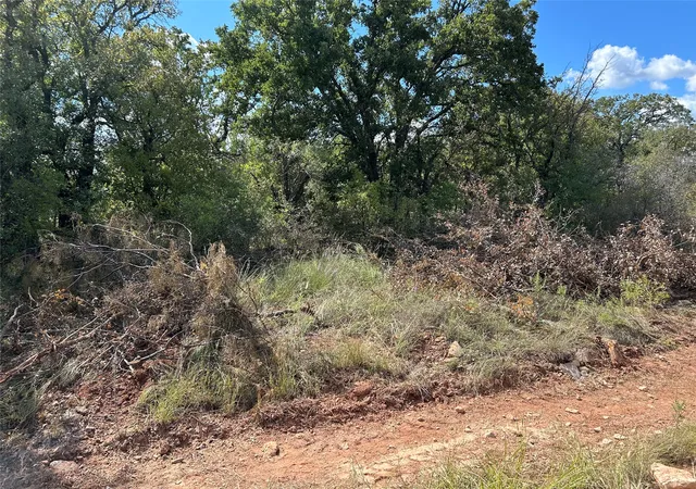 Photo 3 of Land for sale at 555 Oak Point Dr, May, TX 76857 | MLS# 20755817 | Listing updated on 2026-07-24