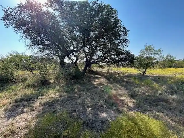 Photo 1 of Sale Pending at Tbd Cr 204, Richland Springs, TX 76871 | MLS# 20759743 | Listing updated on 2024-12-23
