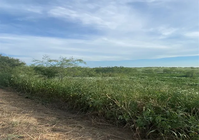 Photo 1 of Land for sale at Tbd County Road 3254, Mount Calm, TX 76673 | MLS# 20763082 | Listing updated on 2026-08-23