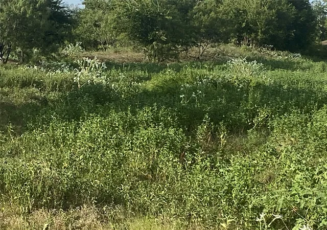 Photo 3 of Land for sale at Tbd County Road 3254, Mount Calm, TX 76673 | MLS# 20763082 | Listing updated on 2026-08-23