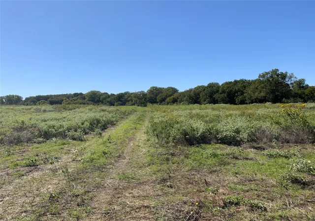 Homes for sale in Rising Star, TX | Tbd County Road 226, Rising Star, TX 76471 | MLS# 20764565