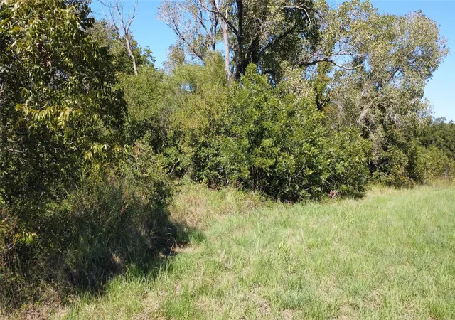 Homes for sale in Rising Star, TX | Tbd County Road 226, Rising Star, TX 76471 | MLS# 20764565