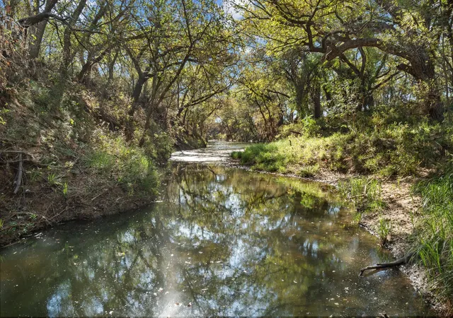 Land for sale at Tbd County Road 136, Coleman, TX 76834 | MLS# 20766763