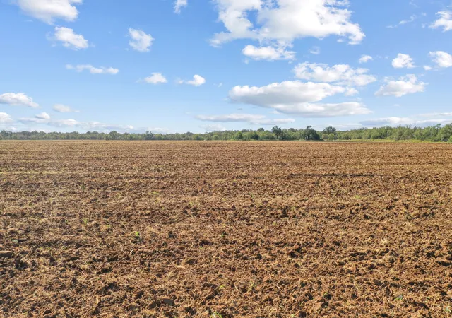 Photo 3 of House for sale at Tbd County Road 136, Coleman, TX 76834 | MLS# 20766763 | Listing updated on 2026-09-07