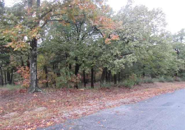 Photo 4 of Land for sale at Tbd 881-4 Tanglewood Trl, Pottsboro, TX 75076 | MLS# 20770229 | Listing updated on 2026-09-23