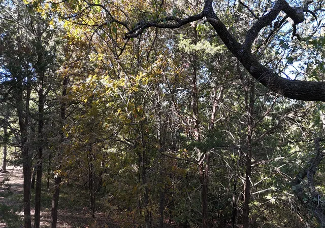 Photo 1 of Land for sale at Tbd 881-3 Tanglewood Trl, Pottsboro, TX 75076 | MLS# 20770875 | Listing updated on 2026-09-28