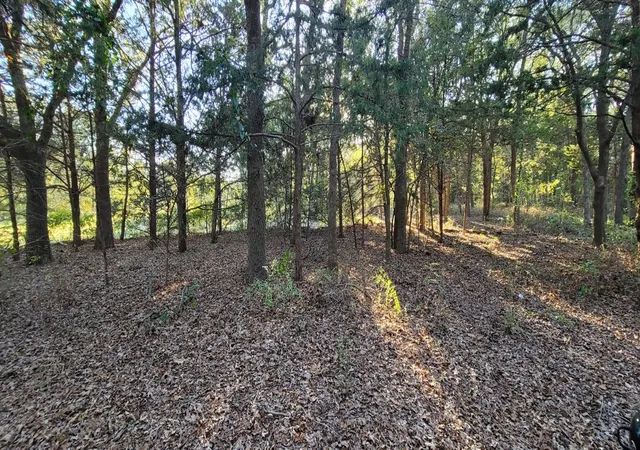 Homes for sale in Valley View, TX | 0 County Road 2261, Valley View, TX 76272 | MLS# 20774383