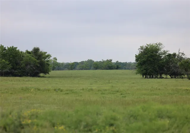 Land for sale at 308 Fcr 995, Wortham, TX 76693 | MLS# 20780241