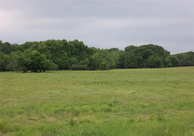 Photo 2 of Land for sale at 308 Fcr 995, Wortham, TX 76693 | MLS# 20780241 | Listing updated on 2026-08-23