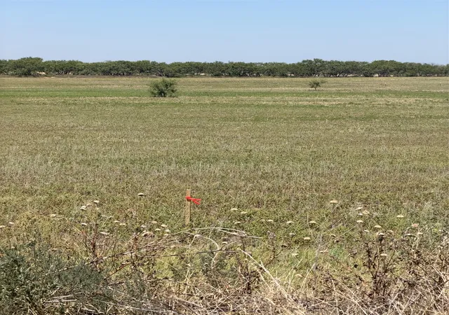Photo 1 of Sale Pending at Tbd Lot 27 County Road 497, Anson, TX 79501 | MLS# 20783202 | Listing updated on 2026-08-25