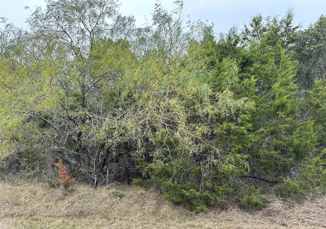 Photo 1 of Land for sale at 30044 Stonedale Dr, Whitney, TX 76692 | MLS# 20785010 | Listing updated on 2026-08-25