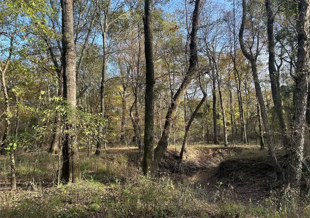 Homes for sale in Bogata, TX | Tbd County Road 1412, Bogata, TX 75416 | MLS# 20789247