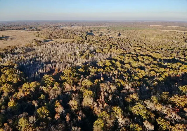 Homes for sale in Bogata, TX | Tbd County Road 1412, Bogata, TX 75416 | MLS# 20789247