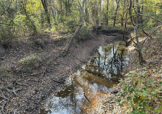 Photo 3 of Land for sale at Tbd County Road 1412, Bogata, TX 75417 | MLS# 20789247 | Listing updated on 2026-08-24
