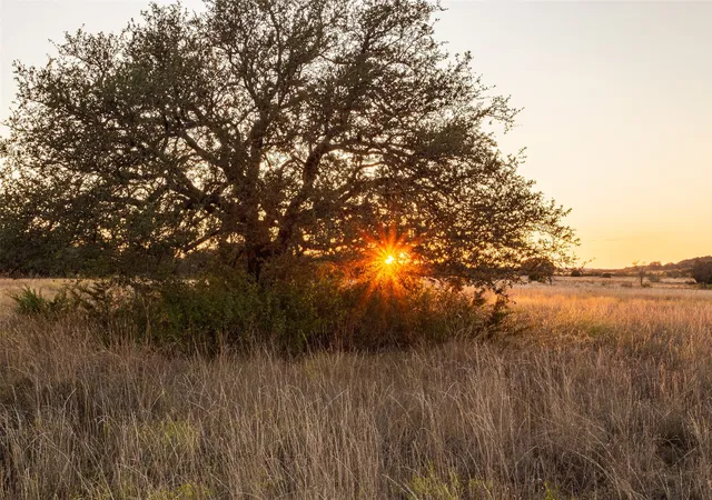 Homes for sale in Cranfills Gap, TX | 5770 County Road 309, Cranfills Gap, TX 76637 | MLS# 20790363