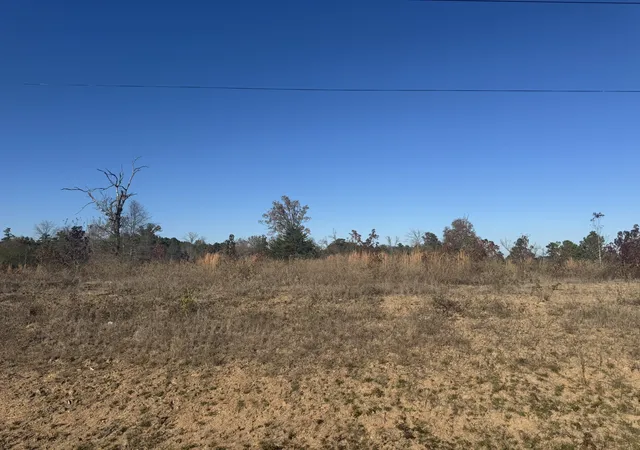 Homes for sale in Winona, TX | 16705 Ridgeline Loop, Winona, TX 75792 | MLS# 20790586