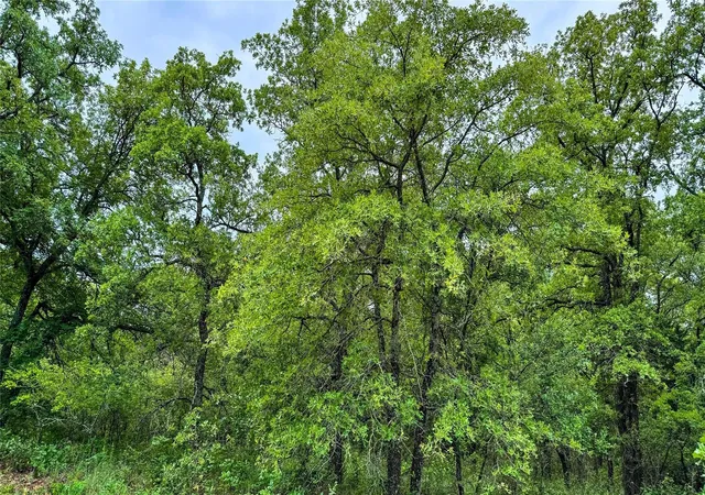 Homes for sale in Nocona, TX | 143 Briarwood Trl, Nocona, TX 76255 | MLS# 20805584