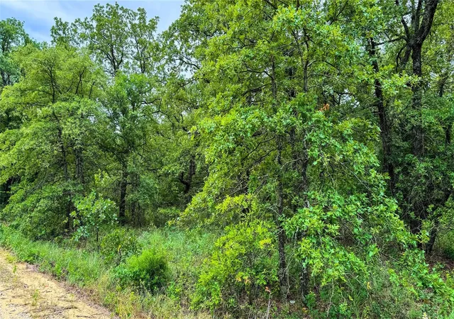 Homes for sale in Nocona, TX | 143 Briarwood Trl, Nocona, TX 76255 | MLS# 20805584