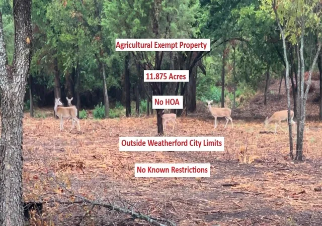 Photo 3 of Land for sale at 0000 Pioneer Xing, Weatherford, TX 76088 | MLS# 20807607 | Listing updated on 2026-10-01