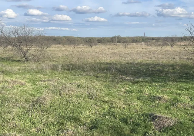 Photo 3 of Land for sale at 1594 County Road 1886, Chico, TX 76431 | MLS# 20814680 | Listing updated on 2026-08-23