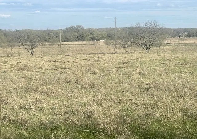 Photo 3 of Land for sale at 1594 County Road 1886, Chico, TX 76431 | MLS# 20814680 | Listing updated on 2026-09-23