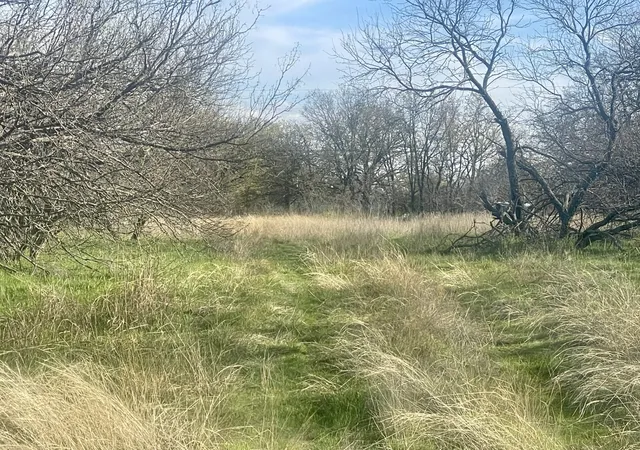 Photo 4 of Land for sale at 1594 County Road 1886, Chico, TX 76431 | MLS# 20814680 | Listing updated on 2026-09-23