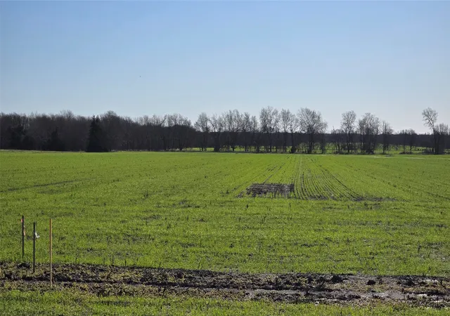 Photo 3 of Land for sale at 197 Acres Fm 548, Forney, TX 75126 | MLS# 20819355 | Listing updated on 2026-07-21