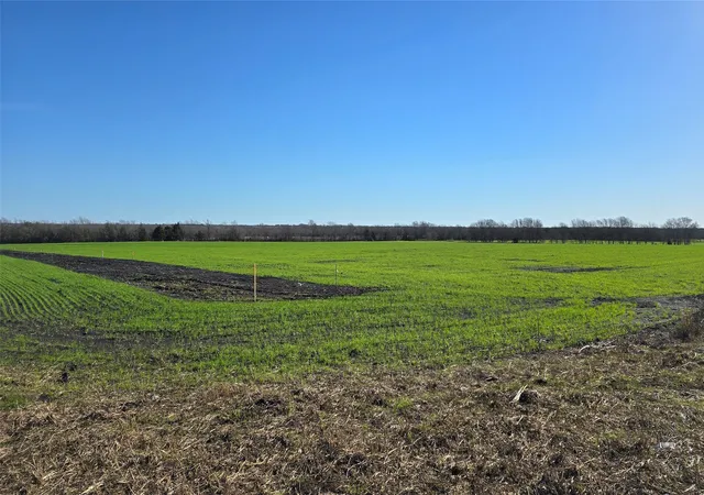 Photo 4 of Land for sale at 197 Acres Fm 548, Forney, TX 75126 | MLS# 20819355 | Listing updated on 2026-07-21