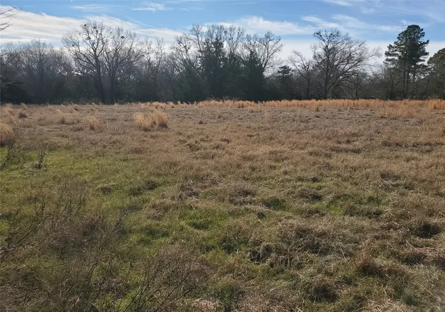 Photo 3 of Land for sale at Lot 8 Rs County Road 1140, Emory, TX 75440 | MLS# 20820678 | Listing updated on 2026-09-22