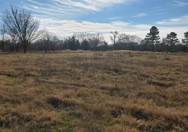 Photo 4 of Land for sale at Lot 8 Rs County Road 1140, Emory, TX 75440 | MLS# 20820678 | Listing updated on 2026-09-22