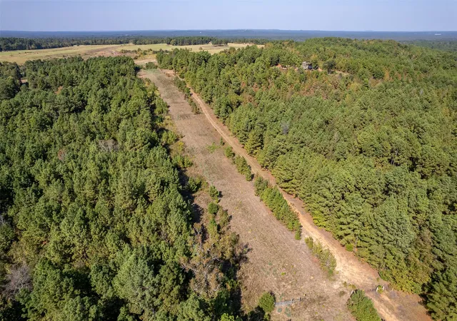 Photo 3 of Land for sale at 000 Cr 356, Winona, TX 75792 | MLS# 20822501 | Listing updated on 2026-07-08