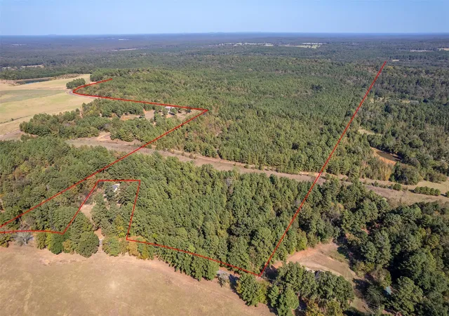 Homes for sale in Winona, TX | 00 Cr 359, Winona, TX 75792 | MLS# 20822565