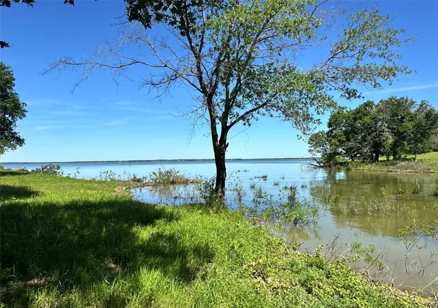 Homes for sale in Streetman, TX | Lot 52 Paradise Cvs, Streetman, TX 75859 | MLS# 20822044