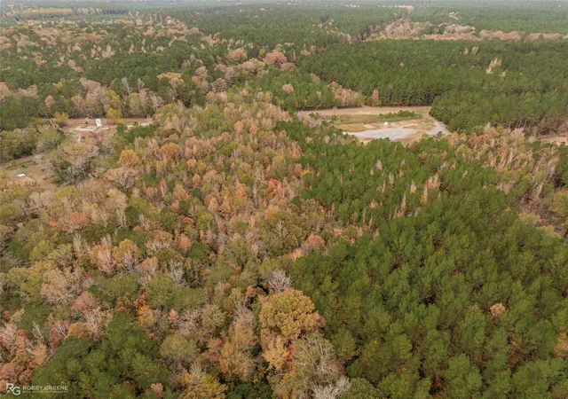 2nd image of 0 Old Hwy 7, Cotton Valley, LA 71018 | MLS# 20823902