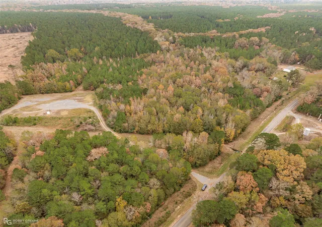 4th image of 0 Old Hwy 7, Cotton Valley, LA 71018 | MLS# 20823902
