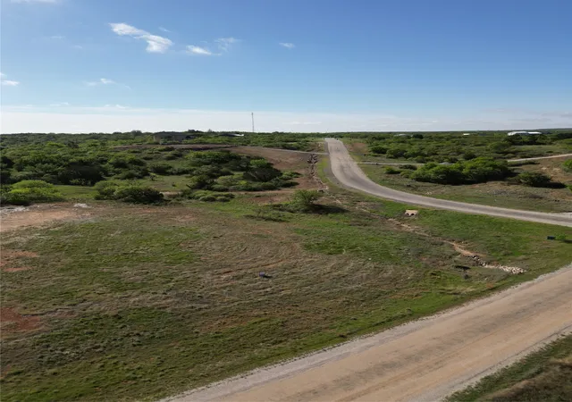Homes for sale in Cisco, TX | 118 Shoreline Dr, Cisco, TX 76437 | MLS# 20825985